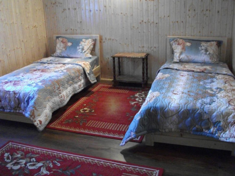 Cabana Ancuta