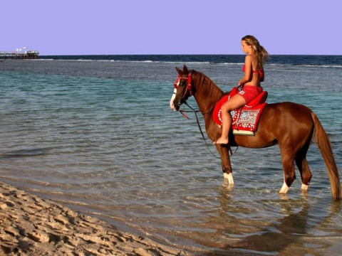 Sentido Akassia Beach