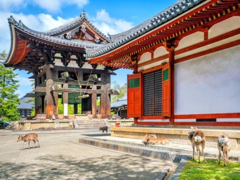 CALATORIE in TARA SOARELUI RASARE