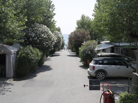 Campeggio Delle Rose