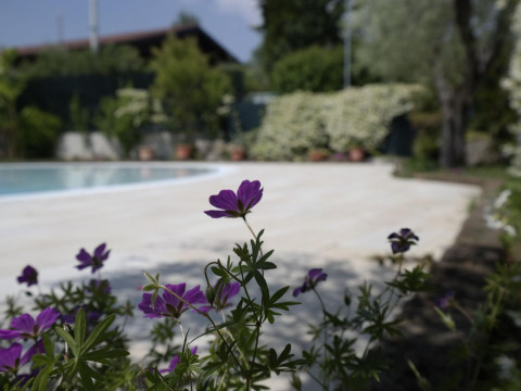 Campeggio Delle Rose