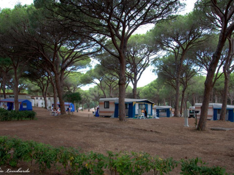 Camping Village S'ena Arrubia