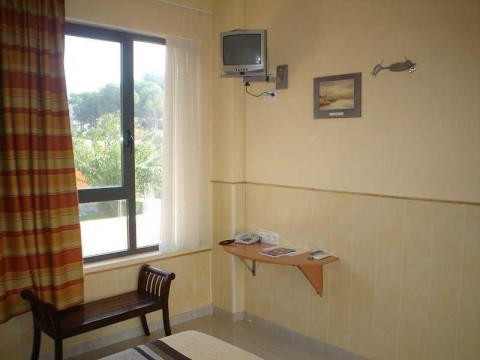 Campo Olivar