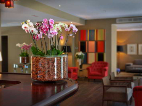 Can Alomar Luxury Boutique