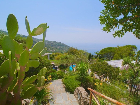 CAPRI DREAM