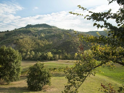 Casa Fluo Relais