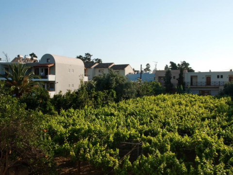 Casa Maria Hotel Apts