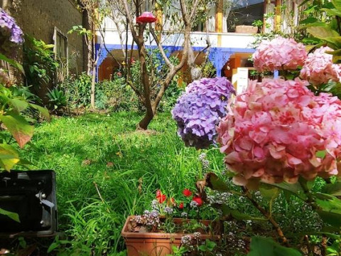 Casa Montalvo Bed & Breakfast