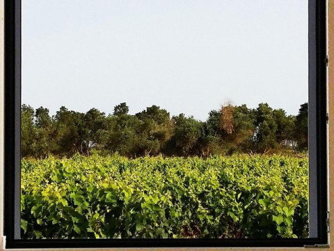 Casale Alle Vigne