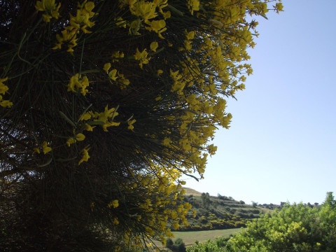 Casale Delle Rose