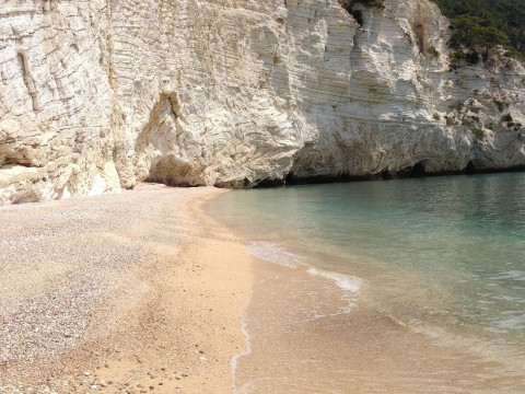 Case Vacanze L'uliveto