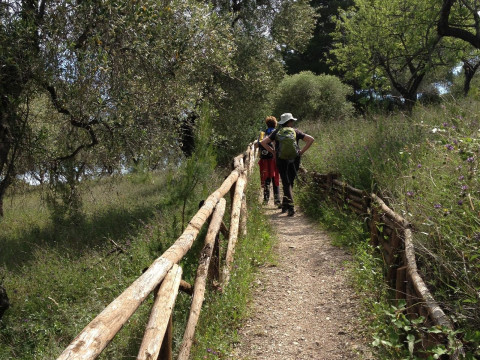 Case Vacanze L'uliveto