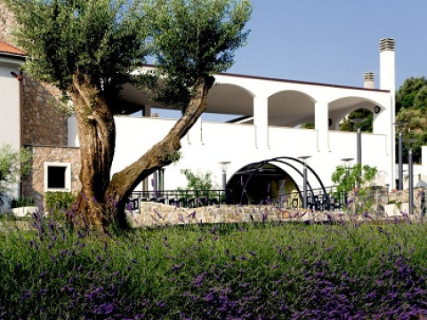 Castellaro Golf Resort