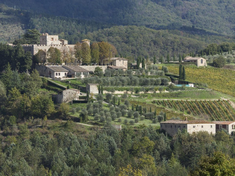 Castello Di Meleto