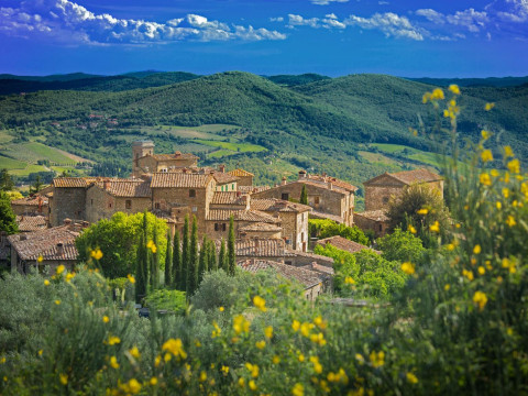 Castello Di Volpaia