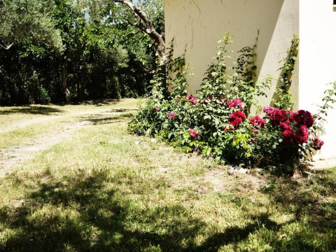 Castle View Bungalows
