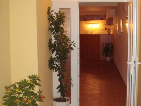 Central Family hotel 