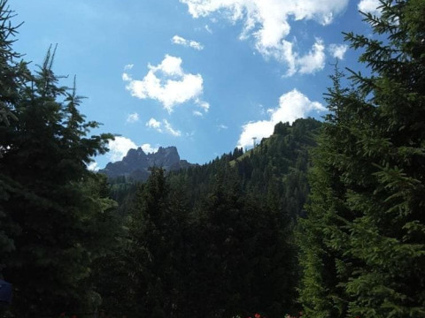 Chalet Brigitte