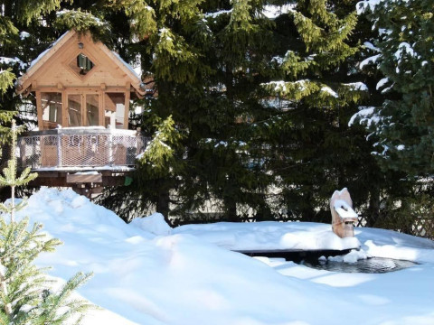 Chalet Elisabeth