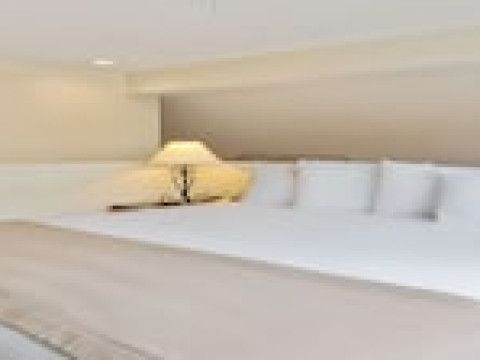 CHASE SUITE