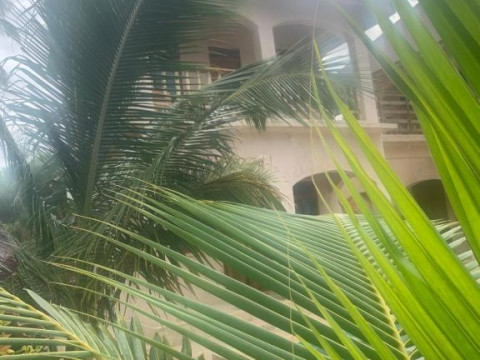 Chokoro House