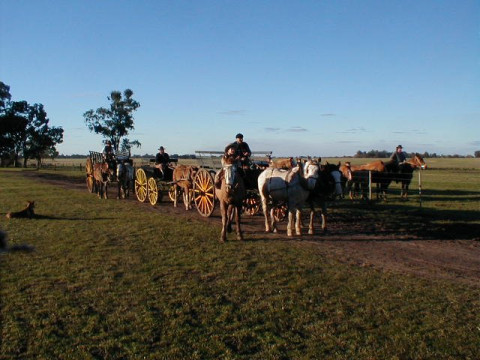 Circuit Argentina si Brazilia