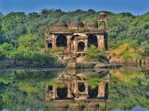 Circuit India - Rajasthan si Safari in Parcul National Ranthambore