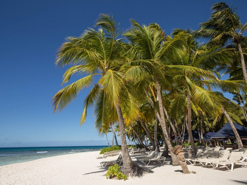 Circuit Republica Dominicana