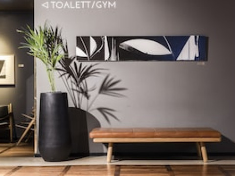 CLARION AMARANTEN