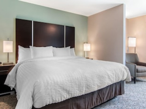 CLARION INN & SUITES ATLANTA DOWNTOWN