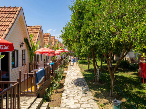 Clover Magic Nova Beach Hotel