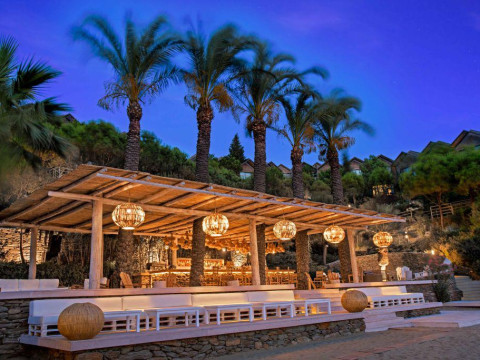 CLUB MARVY BY PALOMA 