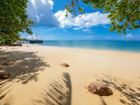 Coco de Mer and Black Parrots Suites