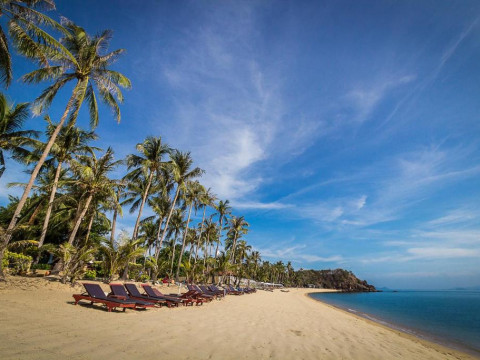 Coco Palm Beach Resort
