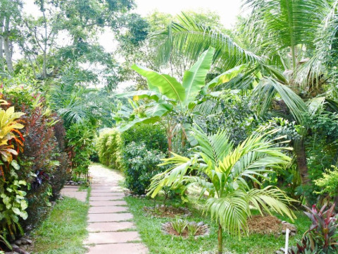 Cocotier Du Rocher Resort