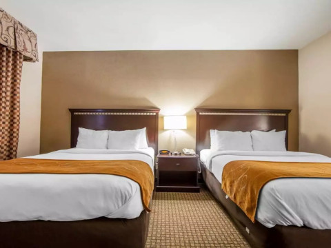 Comfort Suites London, KY