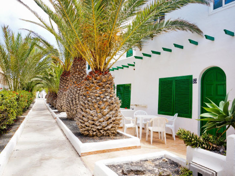 Cotillo Lagos