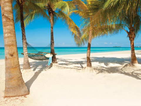 Couples Swept Away - Adults Only