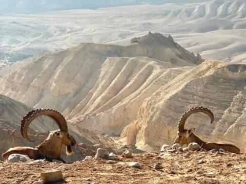 Craciun ISRAEL & Revelion IORDANIA 2024 PREMIUM TOURS