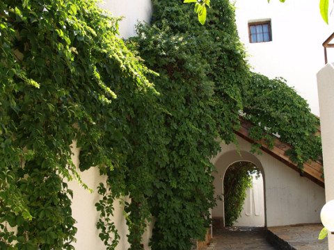 CRETAN VILLAGE APARTMENTS