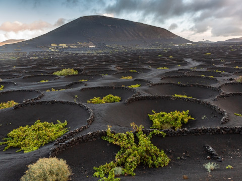 Croaziera Costa Fortuna - Insulele Canare si Madeira