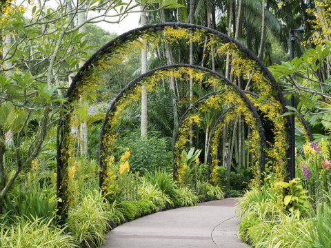 Croaziera Singapore, Penang si Phuket - Nava Anthem of the Seas