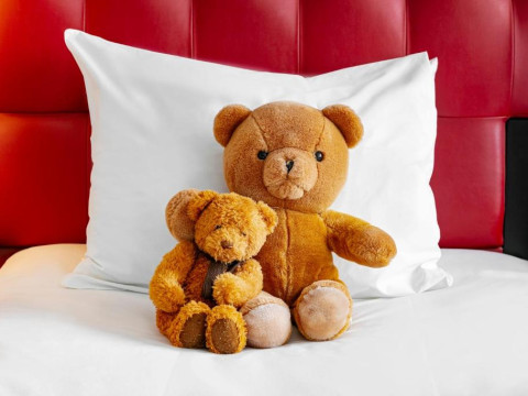 Crowne Plaza Amsterdam South, an IHG Hotel