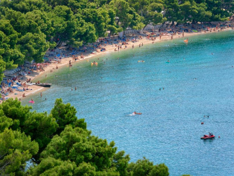 Dalmacija Sunny Hotel by Valamar