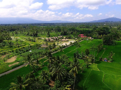 De Klumpu Bali Eco Tradi Place