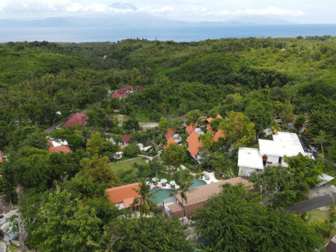 Deep Roots Dive & Yoga Resort