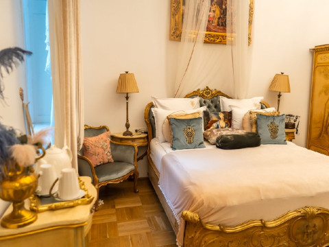 . Conacul COROANEI - Vila turistica