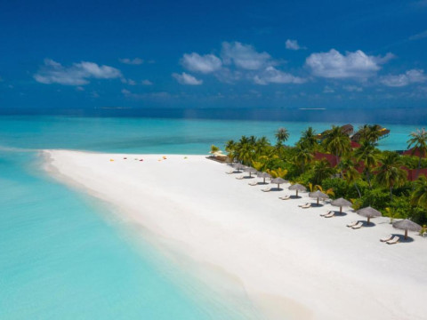 Dhigufaru Island Resort