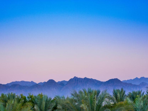 DIVE INN RESORT_