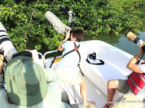 Combo Gamboa Rainforest Reserve 2 nopti si Sejur Hotel Riu Playa Blanca